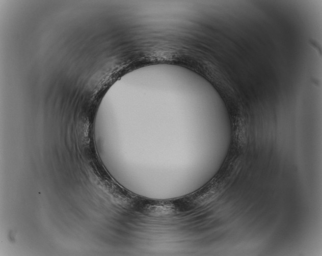 X0000103450548200809261819