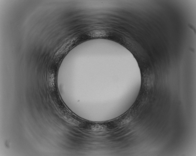 X0000103450549200809261819