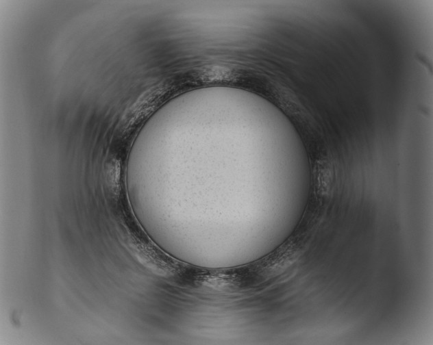 X0000103450550200809261819