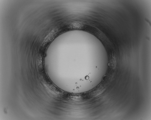 X0000103450552200809261819