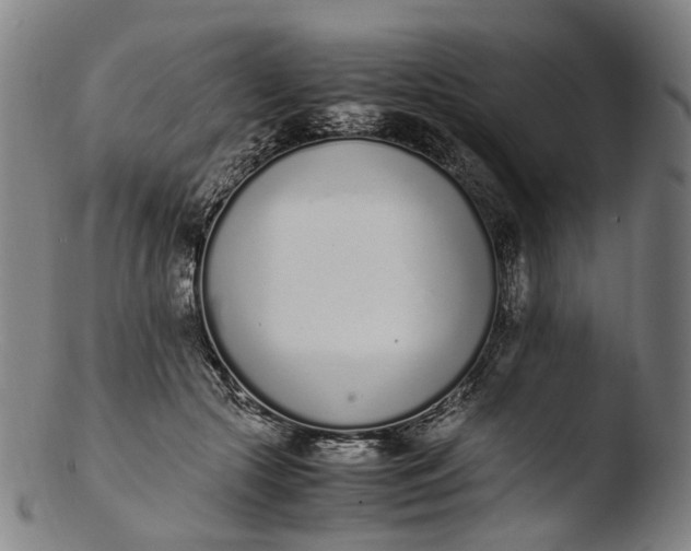 X0000103450553200809261819