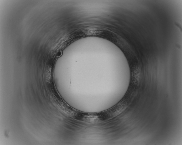 X0000103450554200809261819