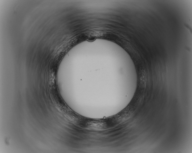 X0000103450555200809261819