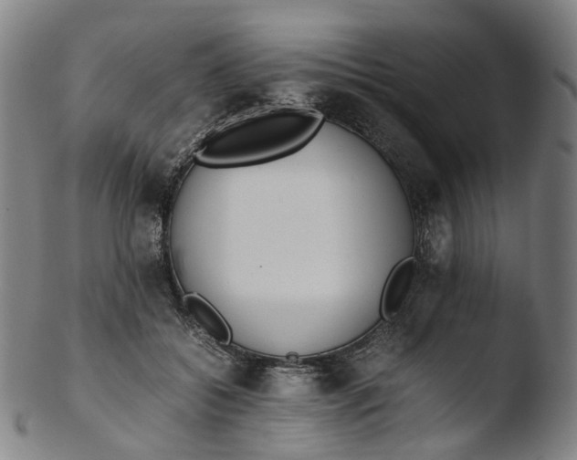 X0000103450556200809261819