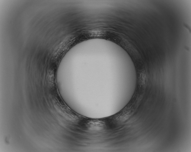 X0000103450557200809261819