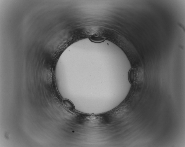 X0000103450558200809261820