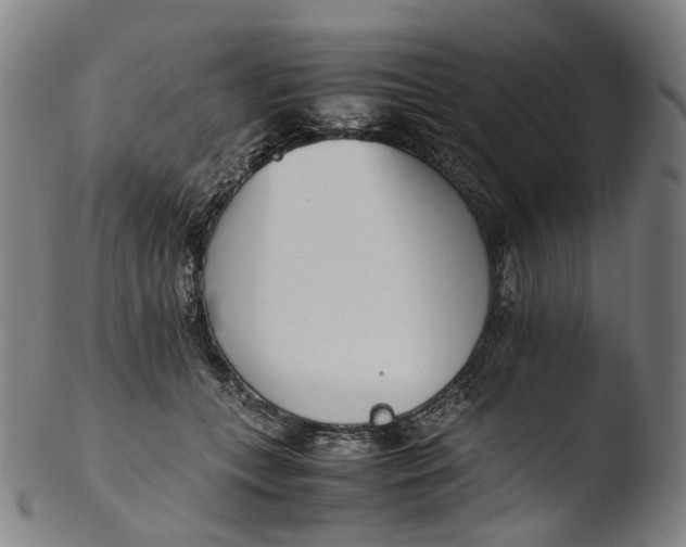 X0000103450559200809261820