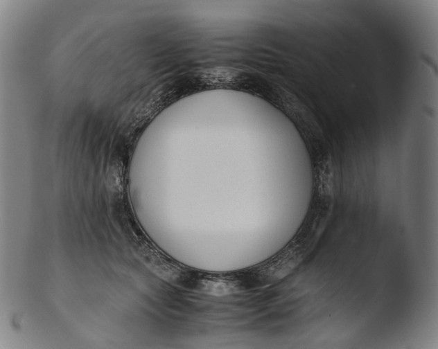 X0000103450561200809261820