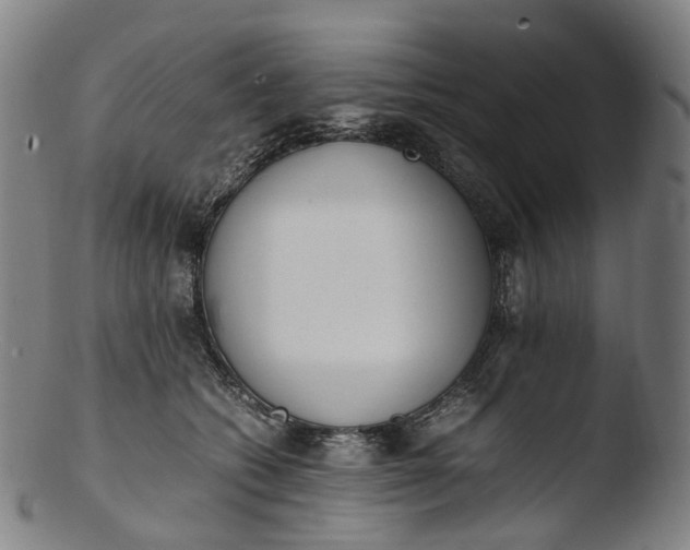 X0000103450562200809261820