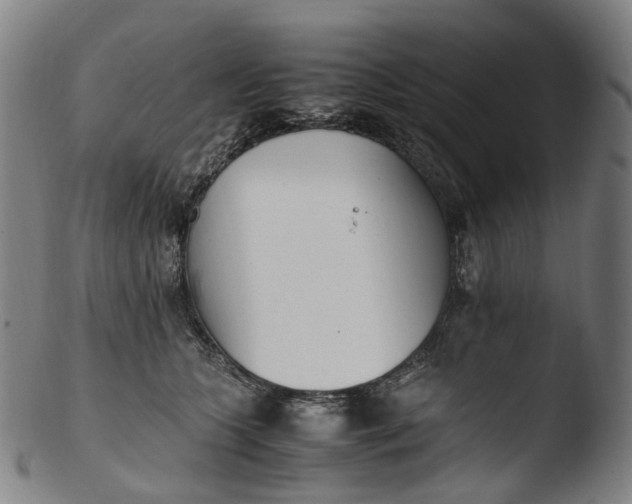 X0000103450563200809261820