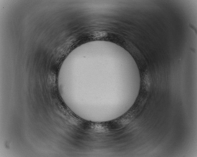 X0000103450565200809261820