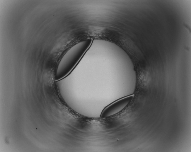 X0000103450566200809261820