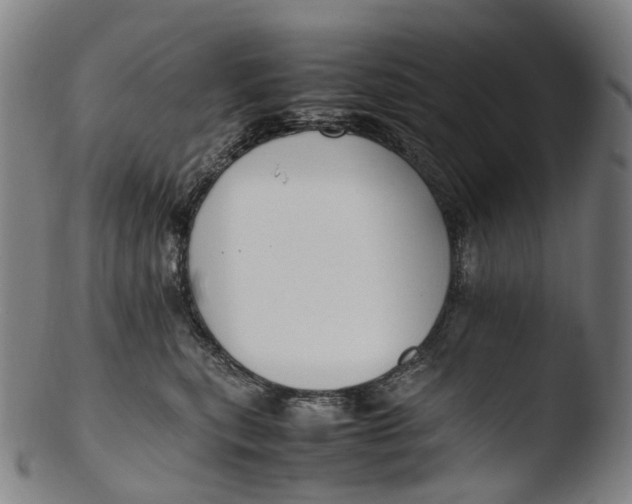 X0000103450567200809261820