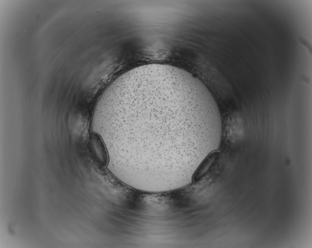 X0000103450568200809261820