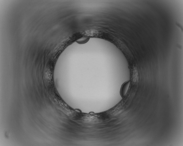 X0000103450569200809261820