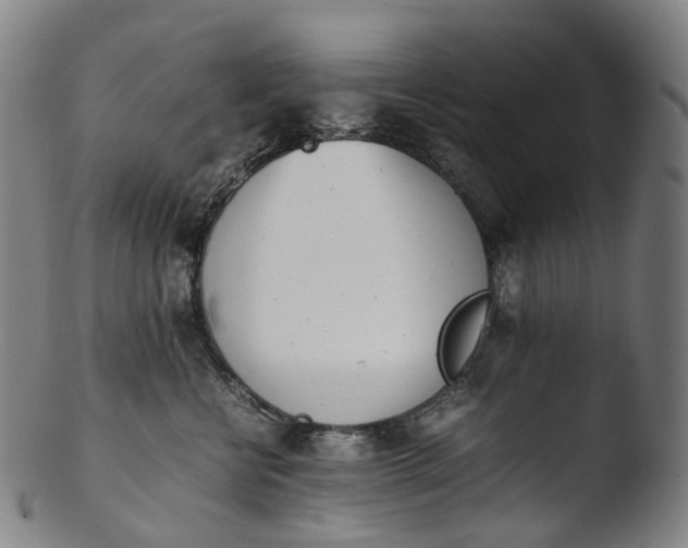 X0000103450570200809261820