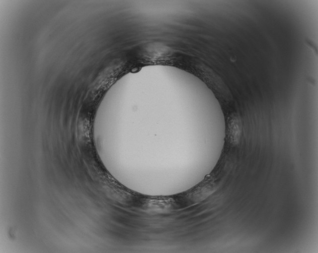 X0000103450571200809261820