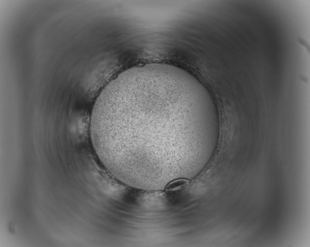 X0000103450576200809261820