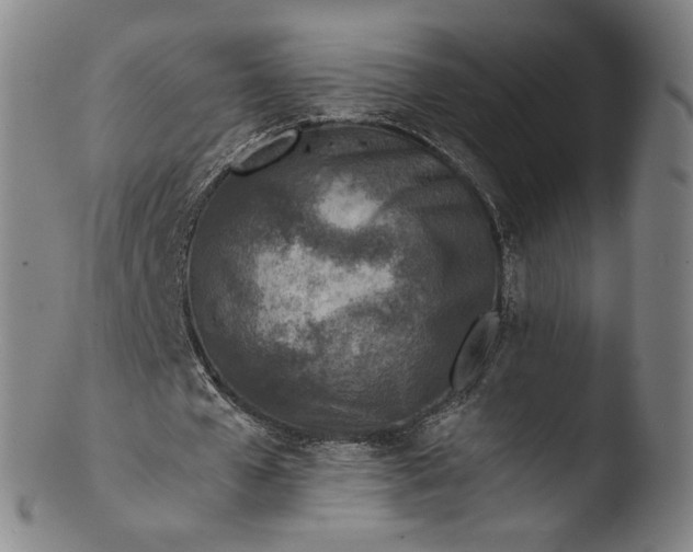 X0000103450577200809261819