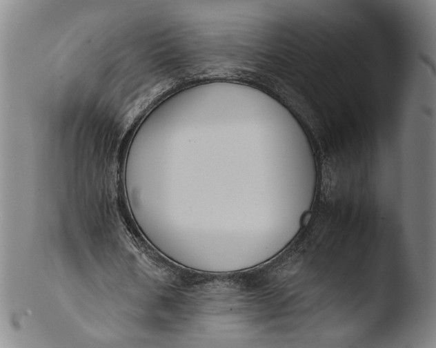 X0000103450578200809261819