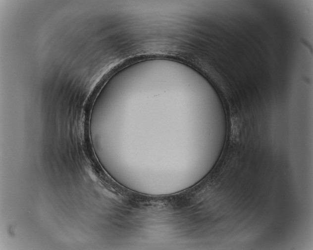 X0000103450580200809261819