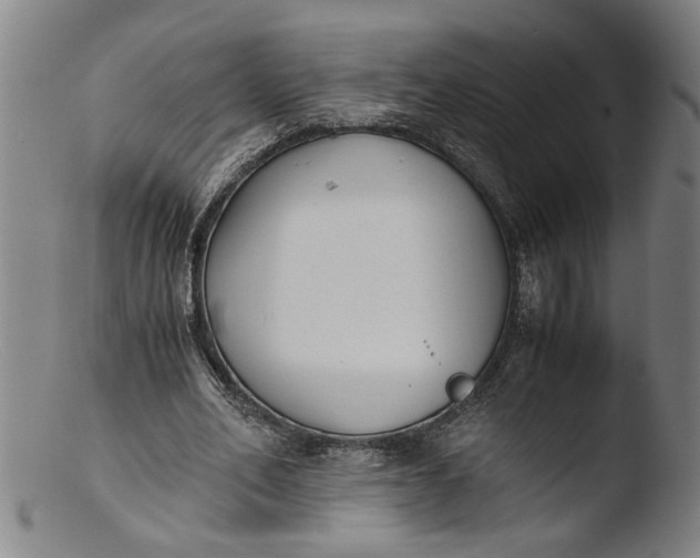 X0000103450582200809261819