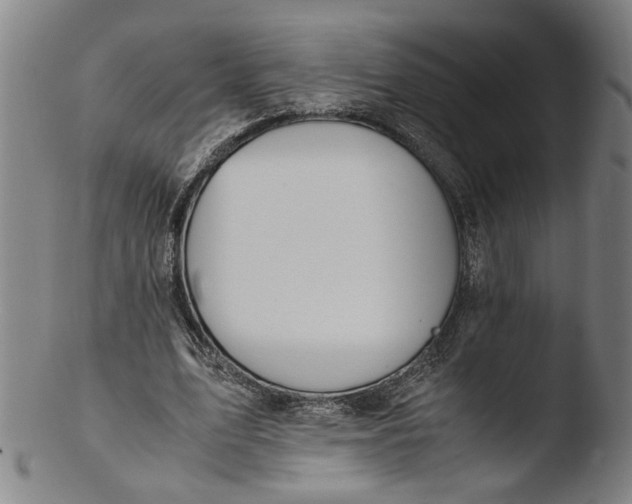 X0000103450583200809261819