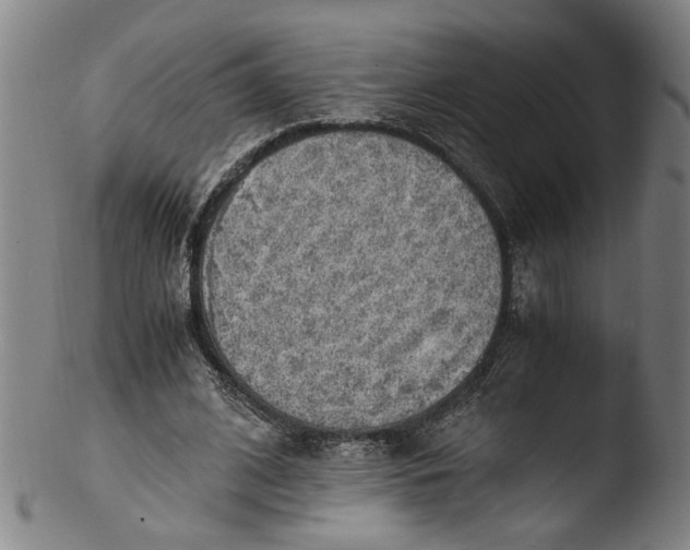 X0000103450584200809261819