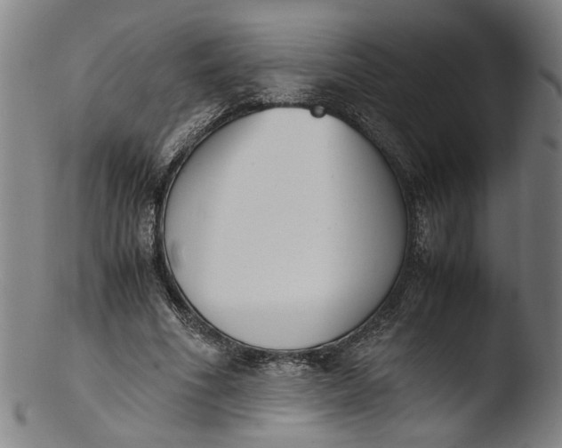 X0000103450586200809261819