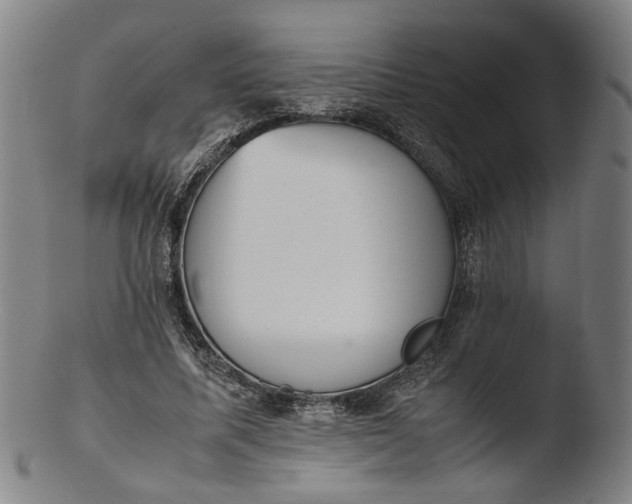 X0000103450587200809261819