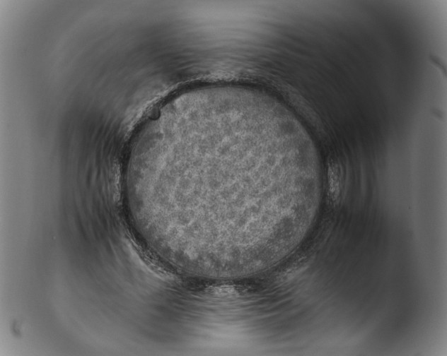 X0000103450588200809261819