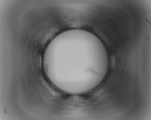 X0000103450589200809261819