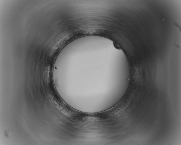 X0000103450590200809261819