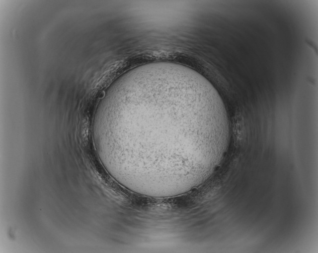 X0000103450593200809261819