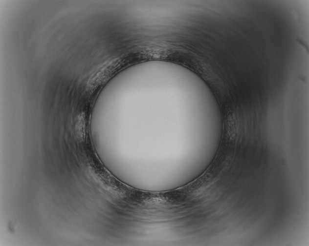 X0000103450594200809261819