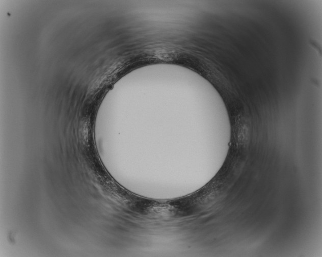 X0000103450595200809261819