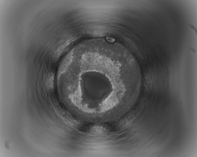 X0000103450596200809261819