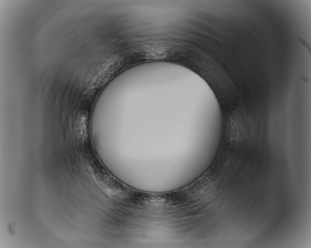 X0000103450598200809261819