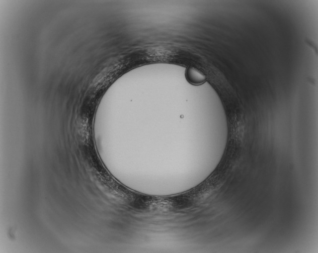 X0000103450599200809261819