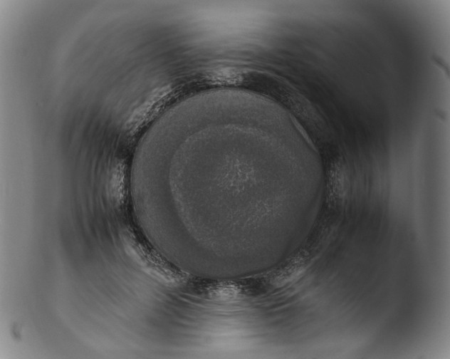 X0000103450600200809261819