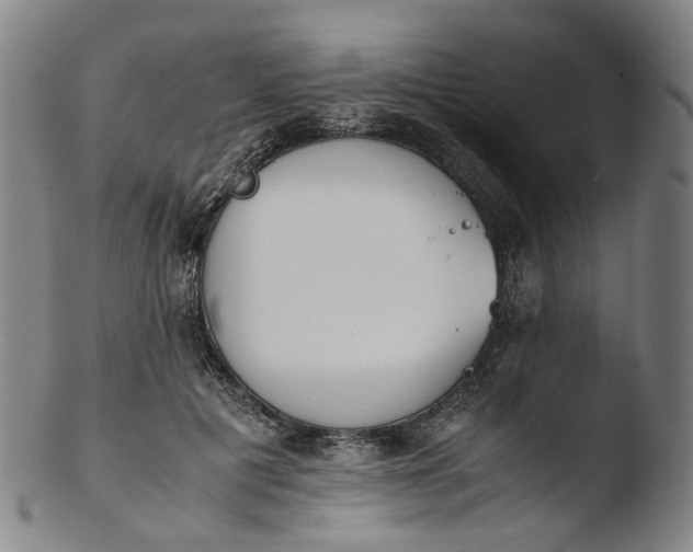 X0000103450601200809261819