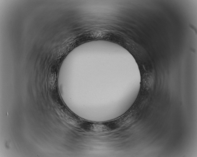 X0000103450605200809261819