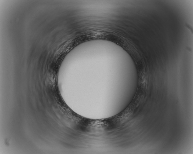 X0000103450607200809261819