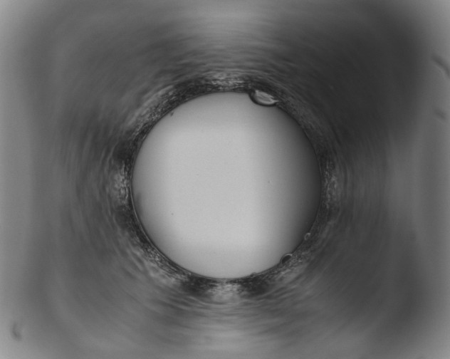 X0000103450609200809261819