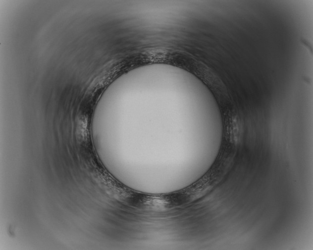 X0000103450610200809261819