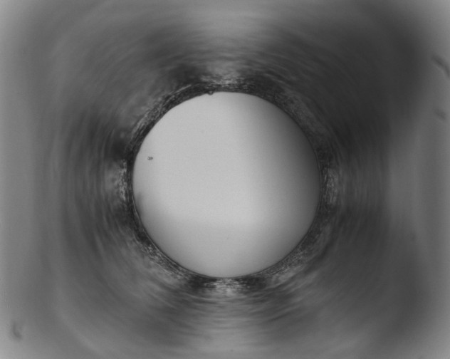 X0000103450612200809261819