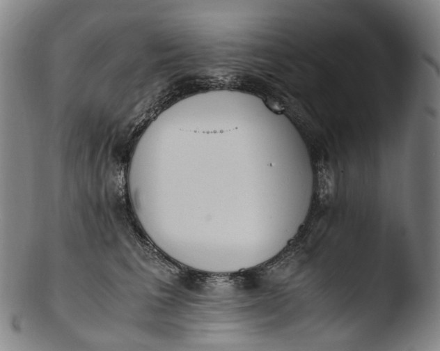 X0000103450613200809261819