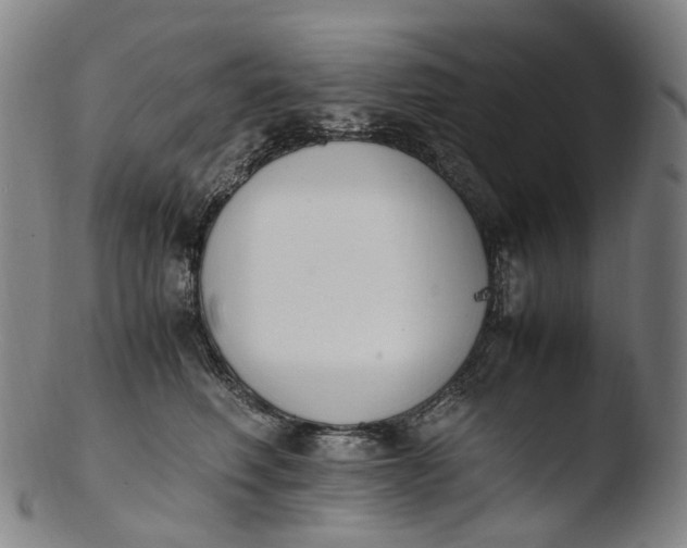 X0000103450614200809261819