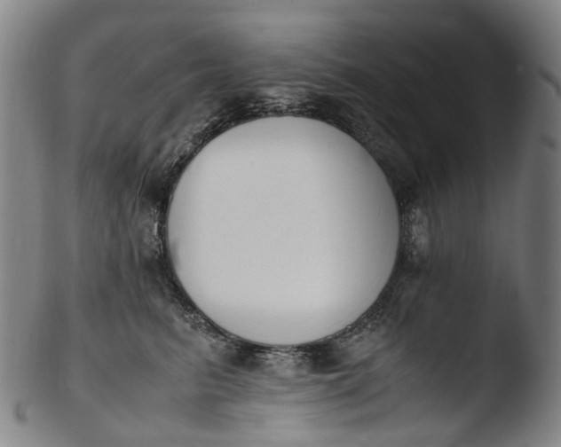 X0000103450615200809261819