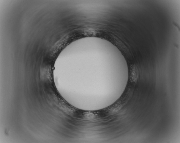 X0000103450616200809261819